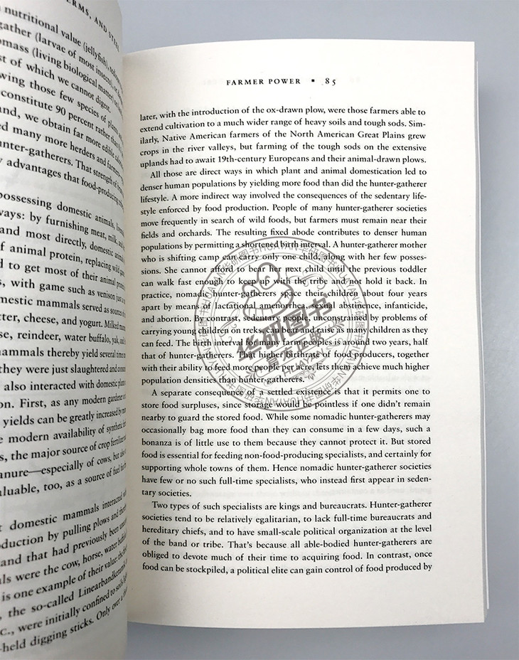 枪炮病菌与钢铁英文原版guns Germs And Steel 美国普利策奖比尔盖茨推荐英文版进口书籍 华研外语