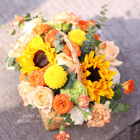 生日鲜花玫瑰花篮【春晖遍四方】礼花送女生朋友爱人闺蜜领导长辈探望花店鲜花送货上门