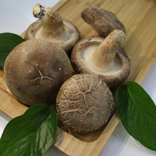 精选干货 | 河南精品香菇 传统食材 传统工艺 产地新鲜直达 250g装 商品图0