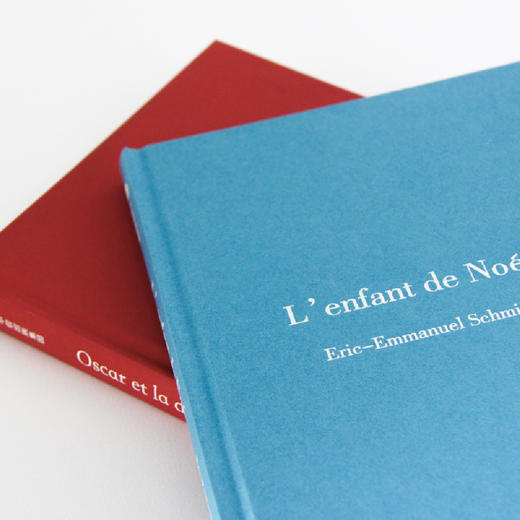 诺亚的孩子【7-15岁】 埃里克-埃马纽埃尔施米特 著 商品图6