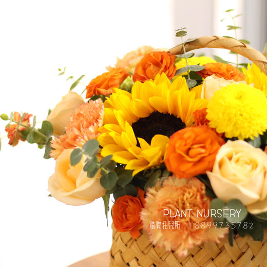 生日鲜花玫瑰花篮【春晖遍四方】礼花送女生朋友爱人闺蜜领导长辈探望花店鲜花送货上门 商品图5