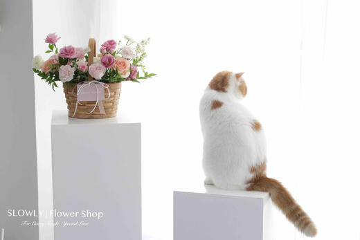 康乃馨小花篮 商品图4