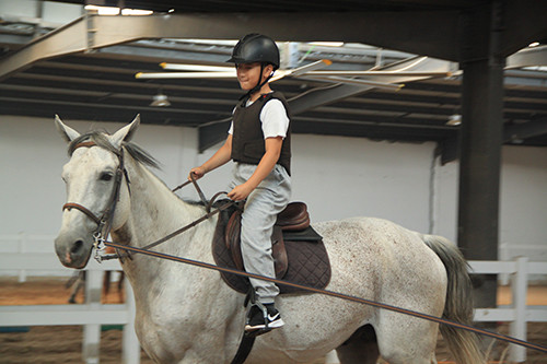 济西湿地马术499元马术牵圈体验两圈新马场观光讲解马术知识普及设特