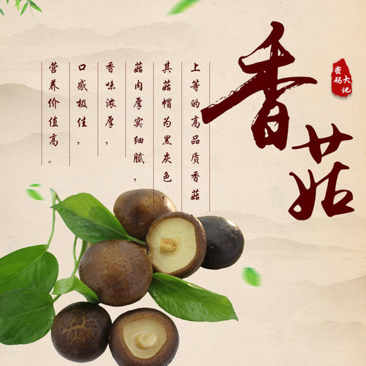 精选干货 | 河南精品香菇 传统食材 传统工艺 产地新鲜直达 250g装 商品图3