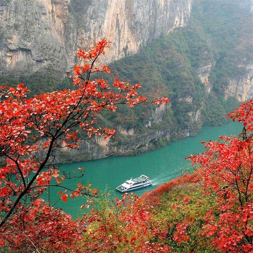 湖北|玩轉三峽,紅葉之旅 七天