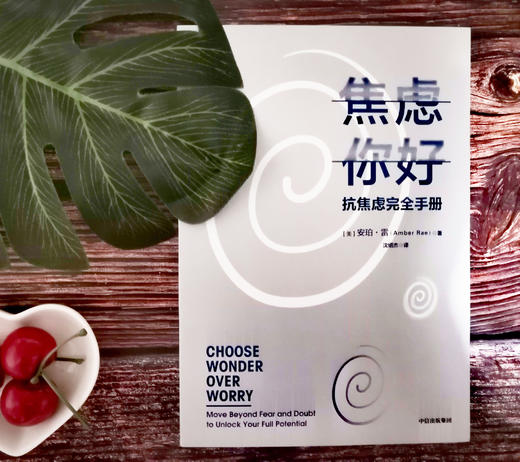 焦虑你好 抗焦虑手册 安珀雷 著  中信出版社图书 正版书籍 商品图8