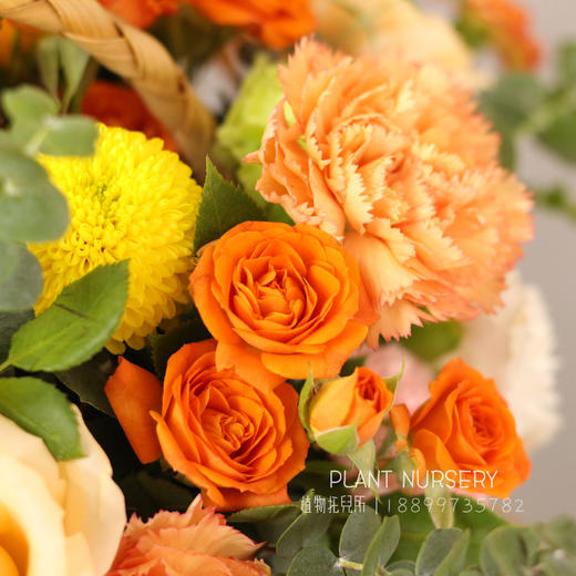 生日鲜花玫瑰花篮【春晖遍四方】礼花送女生朋友爱人闺蜜领导长辈探望花店鲜花送货上门 商品图4