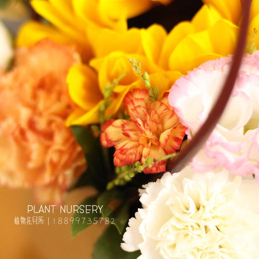 【小向日葵手提花篮】 商品图2