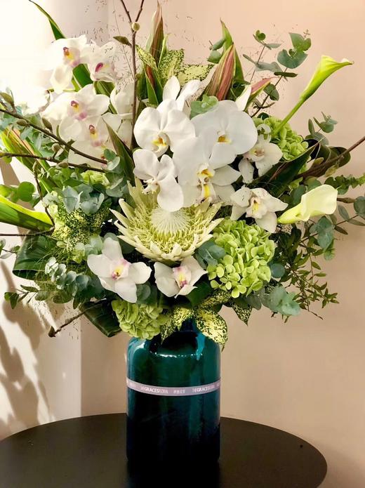 海伦娜 商品图0