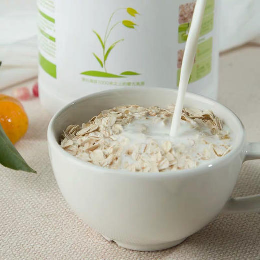有机种植方式蒙北雪原燕麦片700g免煮原味营养早餐食品冲饮谷物即食麦片 商品图1