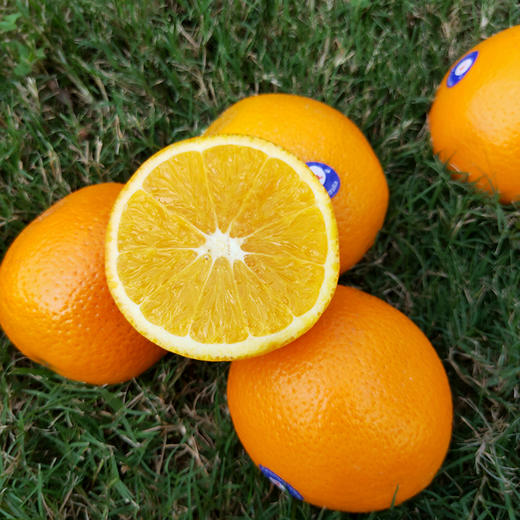 澳大利亚澳橙168元斤