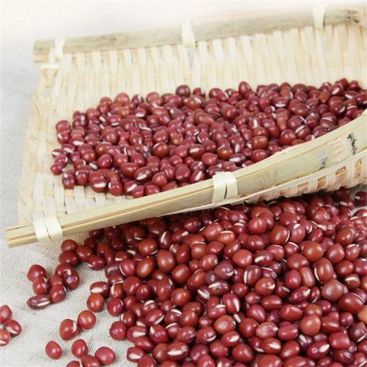 380g赤小豆别名赤豆红豆饭饭豆蛋白豆赤山豆是豆科豇豆属一年生草本
