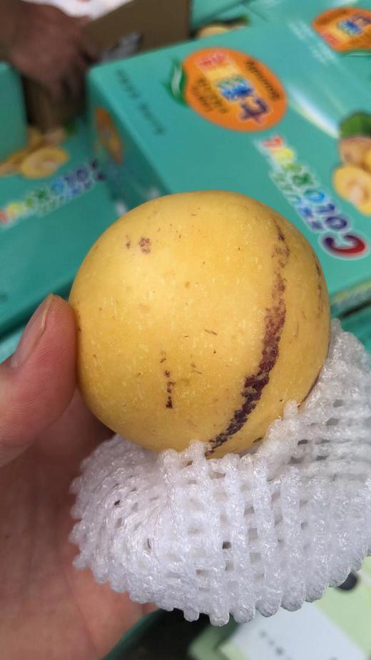 人参果  清甜多汁，补水神器  ！补充各种微量元素！！ 商品图1