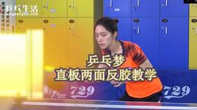 12集直板接发球控制技巧摆短劈长