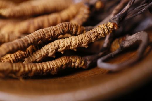 【25年 新草】【那曲高海拔 冬虫夏草干草】 无断草 约4条/克 简装/礼盒任选 商品图7