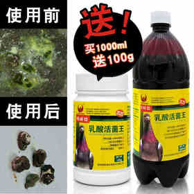 【乳酸活菌王】1000ml送粉剂100g，高浓缩活菌微生态制剂 （欧耐德）