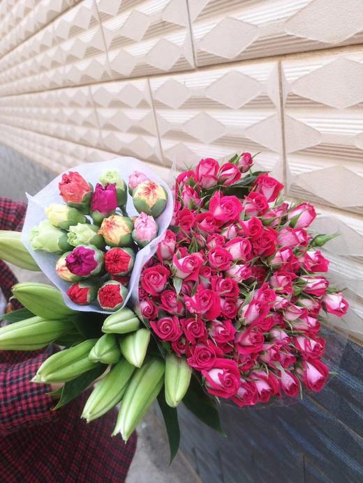 多头玫瑰波塞尼娜