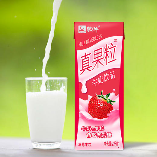 蒙牛真果粒（草莓果粒）250g*12盒 商品图4