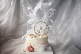 女士款 仙气羽毛铁塔 韩式裱花