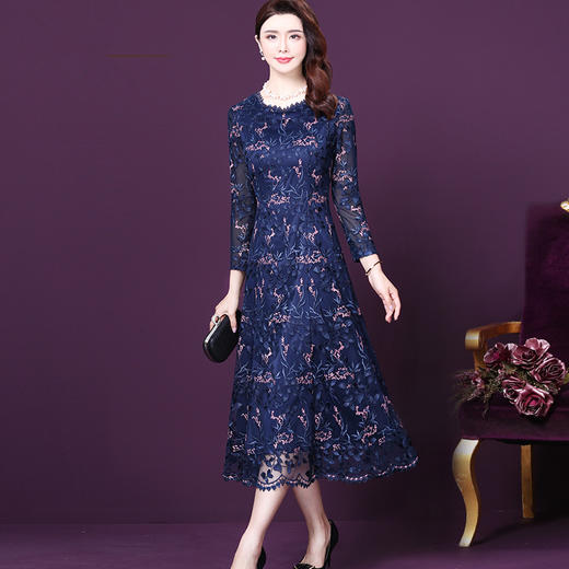 WXY-6159秋季新款洋气绣花网纱连衣裙 商品图0