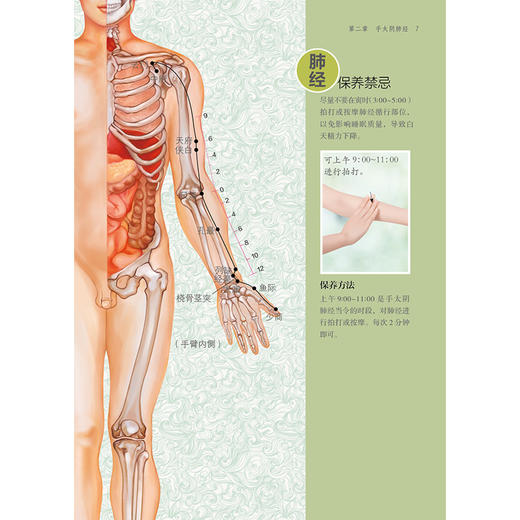 《人体经络穴位传统疗法》 商品图4