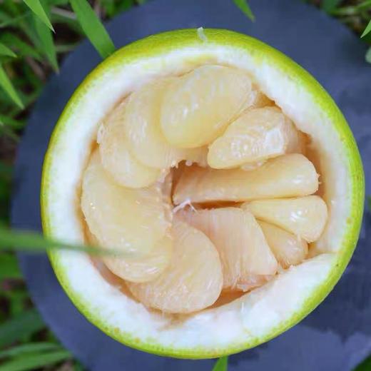 台湾麻豆文旦柚放久辞水外丑里嫩果肉细腻香甜多汁肉厚饱满颗颗甜蜜与