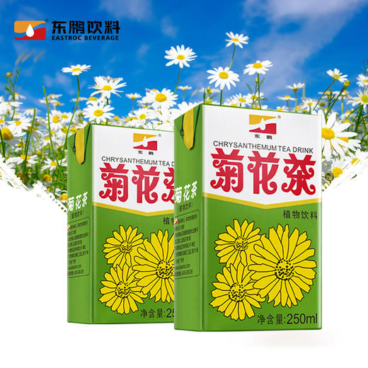 1111东鹏饮料菊花茶250ml24盒装植物饮料传统制造