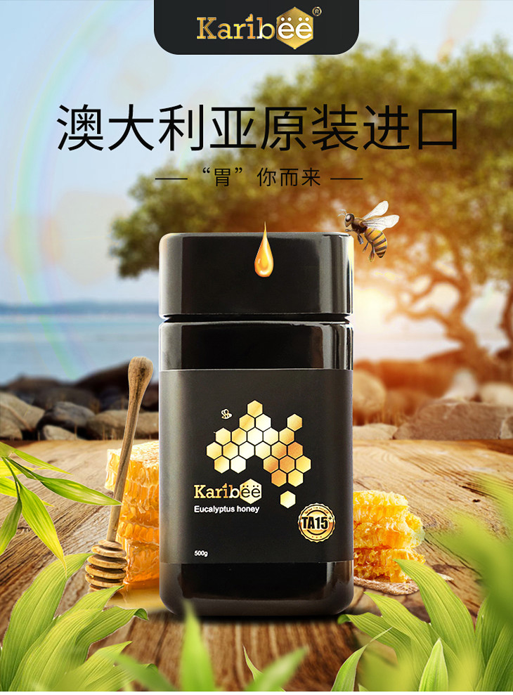 karribee可瑞比桉树蜂蜜15500g瓶jl0012