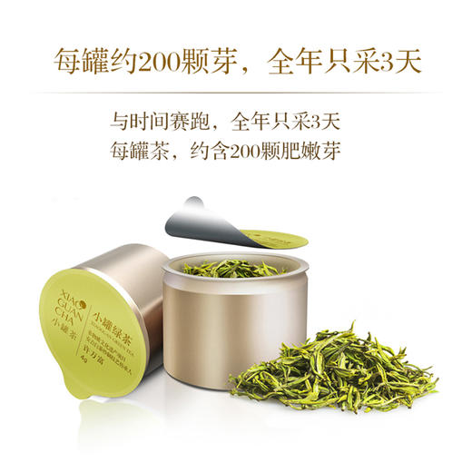 【买五送一】小罐茶|安吉白茶  2019明前新茶 高档茶叶礼盒装10罐 40g 商品图2