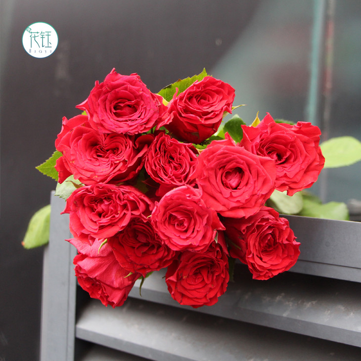 9元起方德珍爱红玫瑰(9-10枝) 方德欣瑞红多头(9-10枝),打包会裁剪