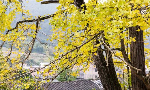 【品鉴定制】隐于山野的私密汤屋 腾冲慢生活4日 商品图0