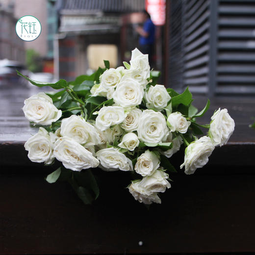 方德荷冠香妃910枝荷冠白多头初雪910枝江浙沪皖京东顺丰包邮