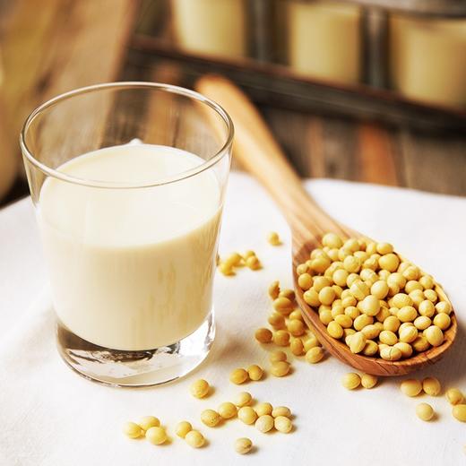豆本豆原味豆奶250ml*24盒/箱 商品图3