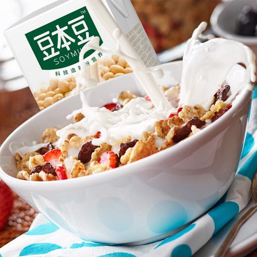 豆本豆原味豆奶250ml*24盒/箱 商品图2