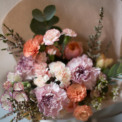 康乃馨花束 商品图1