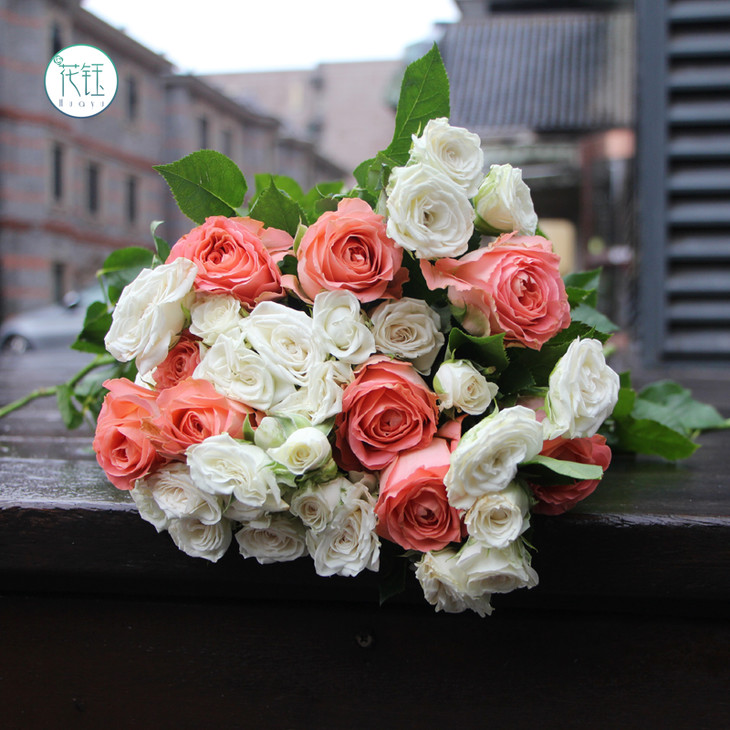 方德荷冠香妃910枝荷冠白多头初雪910枝江浙沪皖京东顺丰包邮