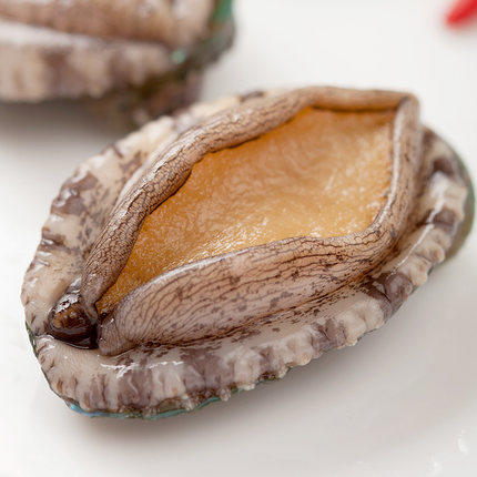 鲜活鲍鱼7头鲍个拍下即杀不杀要备注