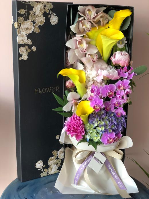 神奇的臂弯 商品图0