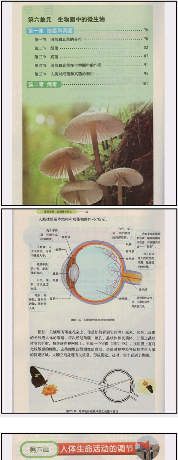 出版社初一生物下冊義務教育教科書(五·四學制)生物學七年級下冊教材