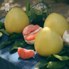 [枫颐]极柚红肉蜜柚 正宗平和琯溪蜜柚 一个有梦想的柚子 商品缩略图1