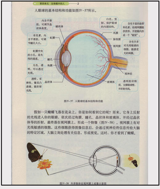 鲁科版 初中七年级下册生物书 生物7下课本 山东科学技术出版社初一生物下册义务教育教科书(五·四学制)生物学七年级下册教材 商品图4