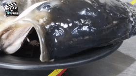 【直供江浙沪】千岛湖有机活鱼 商品图0