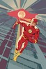 变体 闪电侠 Flash Vol 5 004-077 商品缩略图4