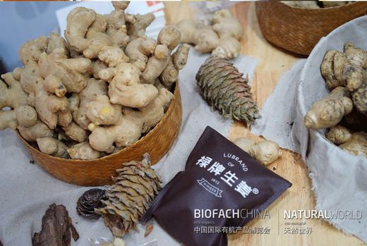 丨生态丨红糖姜脯 白糖姜脯 人参蜜姜脯-红糖  人参蜜姜脯-白糖 160g/瓶 禄牌 商品图4