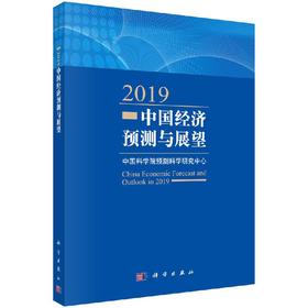 2019中国经济预测与展望