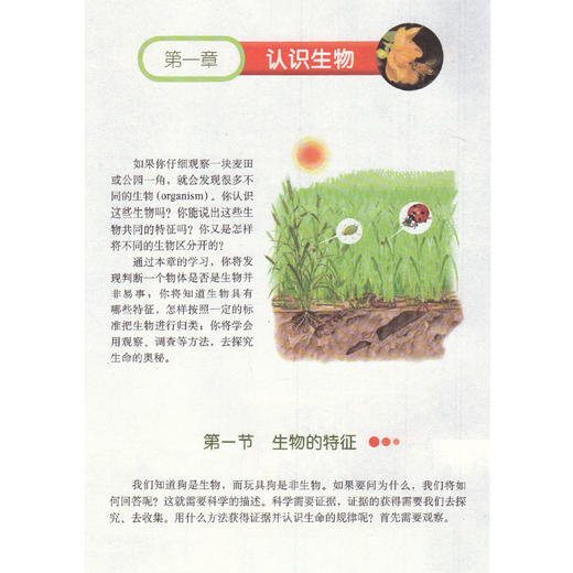 鲁科版初中五四制生物学六年级上册 义务教育教科书教材课本（五四学制） 山东科学技术出版社 生物六上初中一年级用书 商品图2