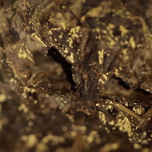 【泾阳茯砖茶】1000克 京东发货 黑茶 金花手筑陕西官茶 茯茶 商品图2