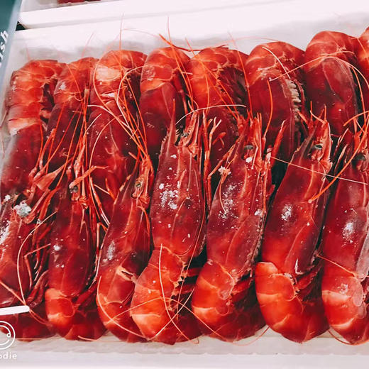 【西班牙进口】绯红虾 4-6头 500g/盒 冷冻新货 商品图9