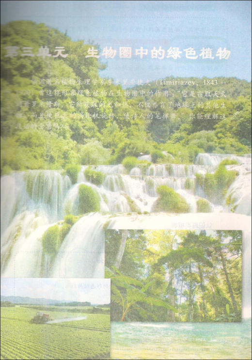 五四制鲁科版初中六年级下册生物学课本山东科学技术出版社54制生物学六年级下册 商品图3