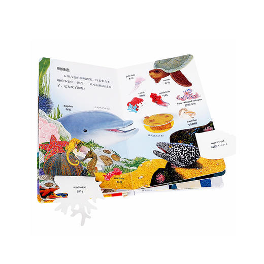 动物朋友认知翻翻书（3册）  适读年龄2+  原价149.4/套 商品图3